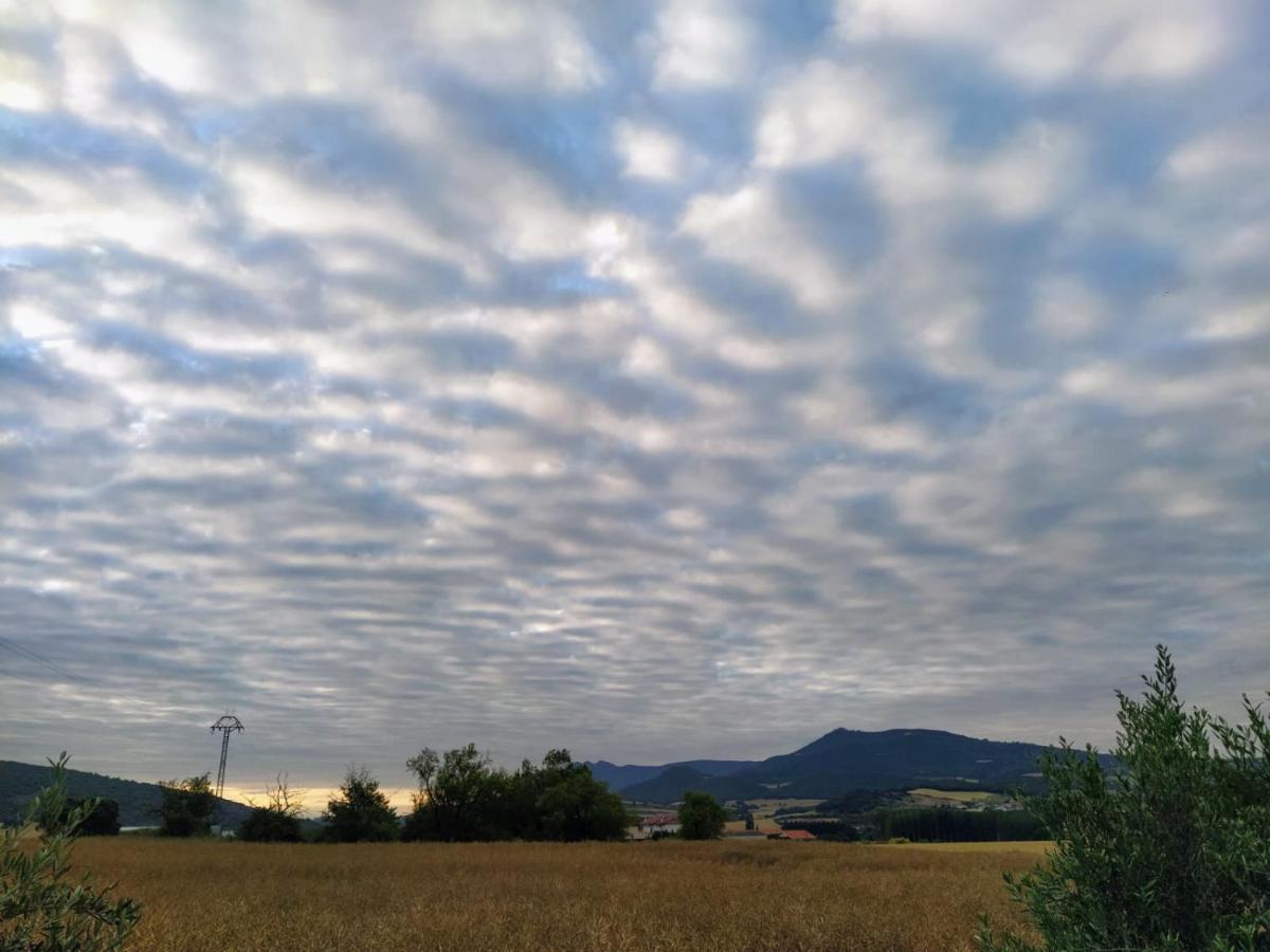 Appartamento Casa Korrontxas & Ega Txokoa Murieta Esterno foto
